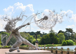 kaneki-kenkin:  mymodernmet:  UK-based artist Robin Wight uses stainless steel wire to form stunning, dynamic sculptures of winged fairies dancing in the wind.  They look like beautiful warriors of the earth 