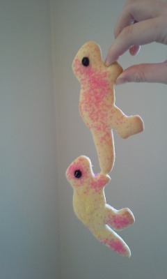 implyingyoucare:  These two dino cookies came out stuck together in a pretty cute way. Hold on tight little guy.