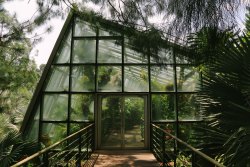 exrthed:  ianception:The Coolhouse at Singapore Botanic Gardensby Ianception  nature