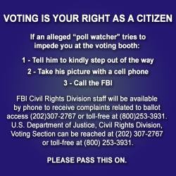 mzminola:  jumpingjacktrash:  jenniferrpovey:  ladystarflare:  catedevalois:  freckletriangleofdoom:  Know your rights and don’t let ANYONE stop you from voting!  VOTE VOTE VOTE VOTE and know your ballot. Learn about local and state candidates. Let’s