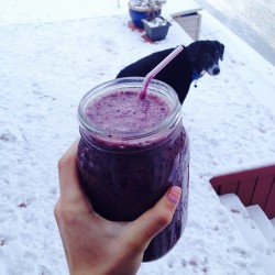 veganvibez:  Freezing cold in Canada but all I wanted this morning was a smoothie. Also, that is the cutest dog in the world right there. {13 bananas • 2 cups blueberries • 1 tbsp acai • cinnamon and allspice} — don’t change the source or delete