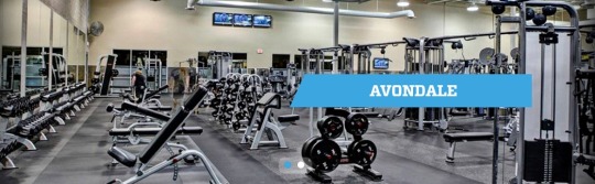 Gyms in Avondale