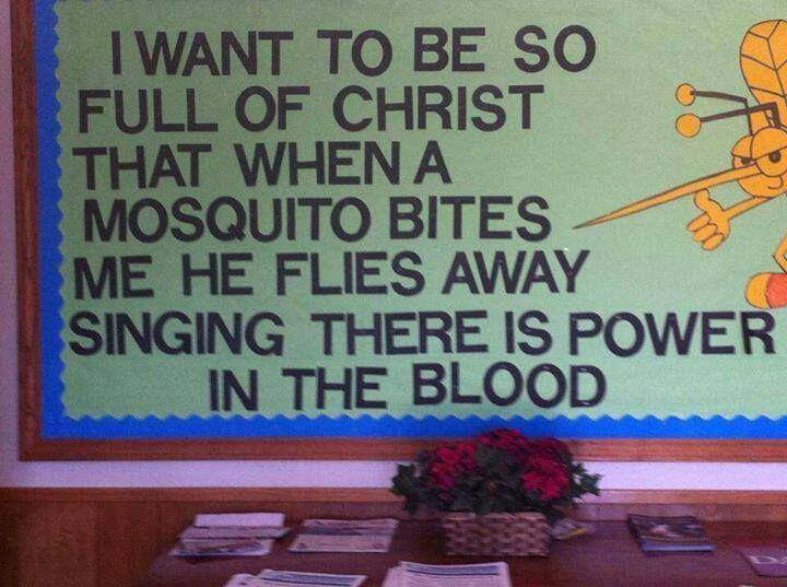 Mosquito comiendo