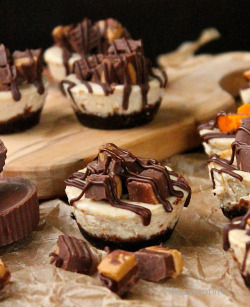veganfoody:  Chocolate Peanut Butter Cup Cheesecake 