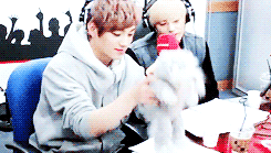 salieris-deactivated20141208:  J-Hyo kept playing with the dog plushie. 
