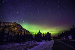 My first aurora sighting. Shot in Banff National Park, Alberta Canada during my visit in November. 