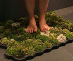 sixpenceee:  A moss bathroom shower mat! This living bathroom mat contains actual moss on the surface that feeds itself through the drops of water that fall unto it, not to mention it feels great on the feet. (Source)