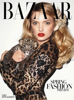 Lily Donaldson in Dolce &amp; Gabbana &ndash; Harper&rsquo;s Bazaar