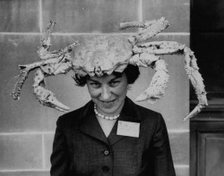 Crab Hat 