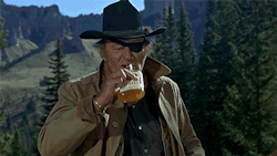 Rooster Cogburn True Grit, a Classic John Wayne film👌🏼