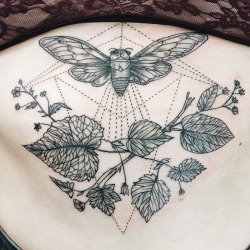 ponyreinhardt:  Cicada and leaves sternum tattoo. By Pony Reinhardt at Forbidden Body Art in Portland, OR USA.  IG: freeorgy 