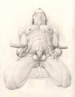 malesubmissionart:  A naked man on his knees is tied with his elbows behind a wooden rod, his cock and balls made pronounced with thin rope, and a gag in his mouth. This drawing is almost too blatantly obvious for me to post in good conscious if only