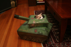 randomanimosity:  cherrylolita:  re-blogger:yellowblog:blognotane:caturday:     Under siege   XD  Kitty has a tank :]