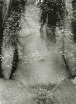 billyjane:  Marcel Marien - The Friendly Wood, Female Nude [Double-Exposure], 1980s  (via billyjane)