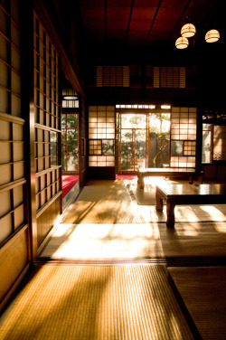 kaninabe:  thekimonogallery:  thekimonogallery:dummy-kanji:  Traditional home interior.  Japan  日本家屋のひかり(via j-p-g)