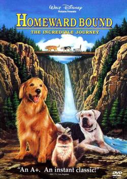 where-the-heart-is:  falloutxdisco:  kittylitter:  Homeward Bound: The Incredible Journey -Download  I LOVE these movies. watched them alllll the damn time as a kid.  Life = This  Sassy is awesome xD