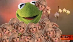 fuckyeahladygaga:   I love Kermit!   Oh my God lol.