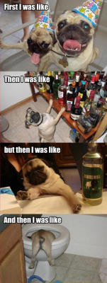 imgonnaletyoufinishbut:   those dogs know how to party!   lmfaoooo.  Oh gawd.  This made me miss my boys.