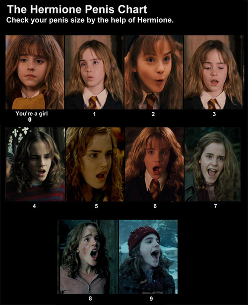 Harry potter and hermione memes sex pictures