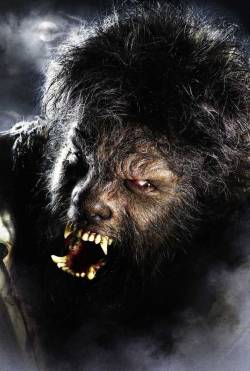 I finally got to see The Wolfman last night. I&rsquo;ve not been so excited about seeing a film in a long time and it certainly didn&rsquo;t disappoint. Gory as hell and kinda old school. Loved it.