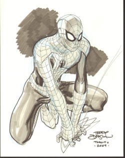 comicblah:  kandidkandor:  Spider-man | Terry Dodson 