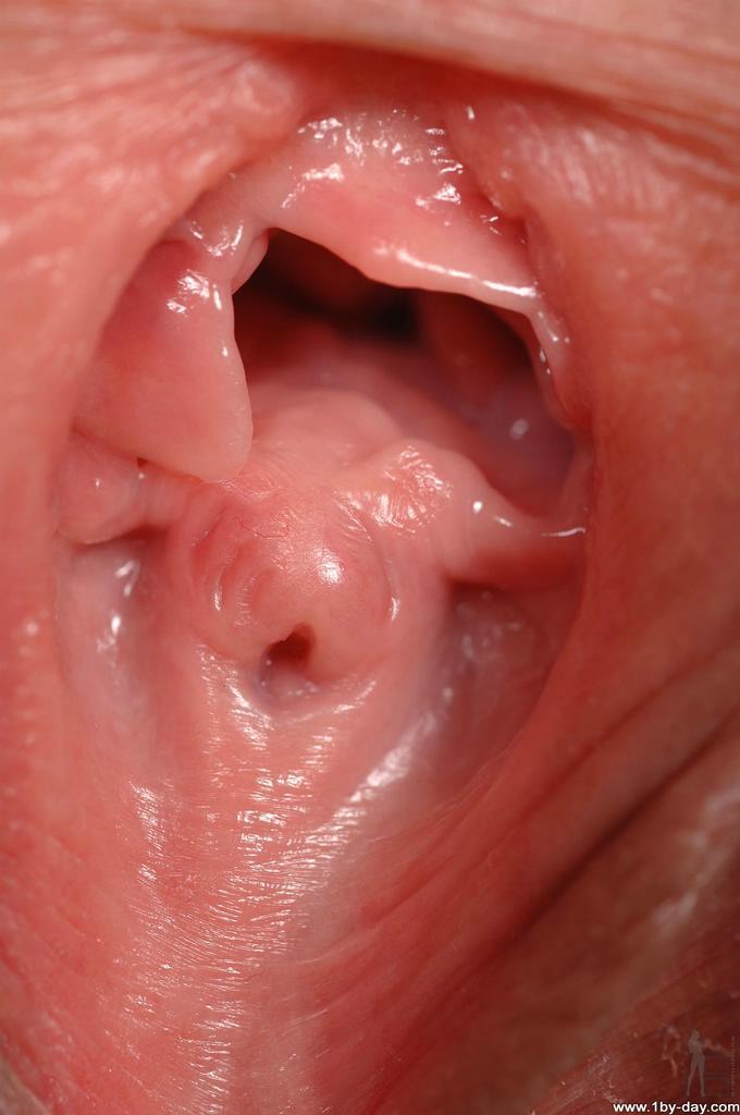 Inside of lower lip