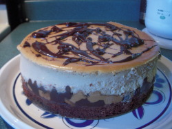 losemydignity:   omgsexyfood:   Peanut Butter Cheesecake     MORE FOOD FAAAAAAHK.
