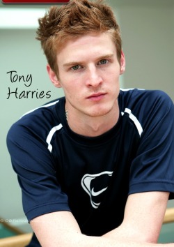 Tony Harries