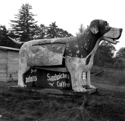 Refreshment stand on U.S. 99, Lane County, Oregon photo by Dorothea  Lange, 1939via: trialsanderrors