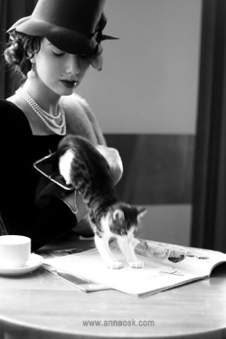 aristocratic-elegance:  latinamericana:  (via linaluna, wolfdancer)    Jestem absolutnie zakochana w tym zdjęciu. I kiciuś! Koteczek! I kotka.