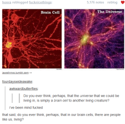 tumbloler:  troller-toaster:  timelordy-teganbreann:  peniseslovemisha:  positivelypeculiar:  autisticpsychopath:  That’s actually a theory incorporated into M-theory (string theory) Sorry, I just used the word theory three times.  Basically, there
