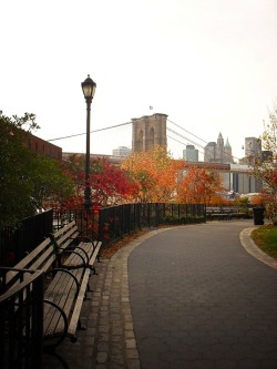nythroughthelens:  Autumn. Brooklyn Bridge Park, Brooklyn. In the distance are the Brooklyn Bridge and the Manhattan skyline. 