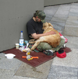 topsecrethotel:     This is so touching. A homeless who is barly able to take care of himself, taking care of a dog. Sometimes, you just need a little love, not just things.  reblog if you care.     it makes me sad to see things like that.  AW WAIT OMGGGG