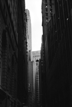 fromme-toyou:  The narrow halls of Wall Street Leica / Tri-x 400 