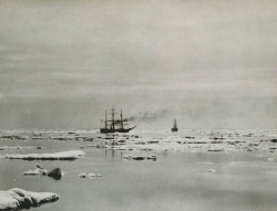 ontheborderland:  Whalers in the Arctic, 1886. Imperial Size Platinum Print. Kingston Collection 