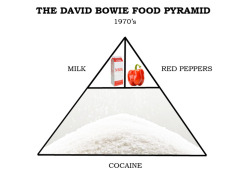 party-wok:  thatbullshit:  “At the height of his cocaine addiction, David Bowie weighed only 95 pounds, hardly a healthy weight for 5’11”. He later said that he spent most of the mid-Seventies trying to perfect telekinesis and trying to keep Jimmy