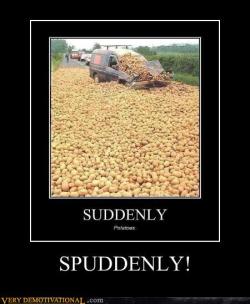 bollyknickers:  shtickeywicketwatson:  I did not just burst out the word “Spuddenly” really loud xD  Meanwhile, in Ireland.   LOLL