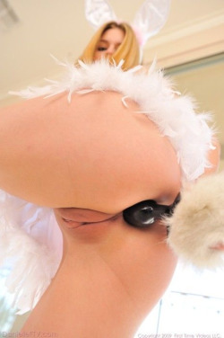 jworthingtoniii:  Bunny tail butt plug… today’s Playboy Bunny?&gt;:~