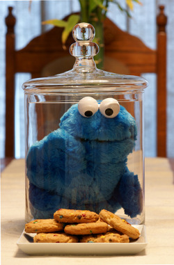whitechocolateraspberrylatte:  This is pretty cruel and it’s breaking my heart. FREE COOKIE MONSTER.