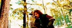 wendigos:  reallyally:  ryanvang:  I love the moment when Boromir dies. All he ever did was whine. On to the Two Towers!  Back the fuck up. Boromir is one of the greatest characters in the entire trilogy. His mother died when he was 10 years old, leaving