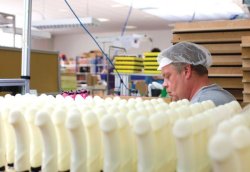thegv1975:  eddymorino:   Just another day at the dildo factory.  Jobs that you forget actually exist.  That’s a lot of dicks 