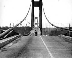 Howard Clifford running off the Tacoma Narrows Bridge during collapse, 7 Nov. 1940 via: UW Digital Collection