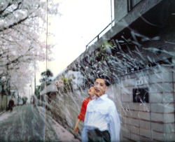 shihlun:   Nan Goldin, Honda Brothers in cherry blossom storm, Tokyo, 1994 