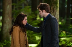 maluartiaga:  Edward: você realmente tem alguma idéia do quanto é importante pra mim? Algum conceito do quanto eu te amo?Bella: eu sei o quanto eu amo você.Edward: você está comparando uma pequena árvore a uma floresta inteira. 