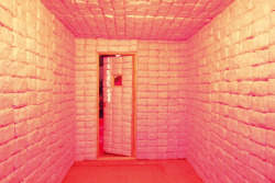andrewharlow:  Padded cell is one of the latest projects by Jennifer Rubell, the installation consist in an 8’X16’ freestanding room constructed of basic building materials, with a single door that contains a plexiglass window. Inside, the walls