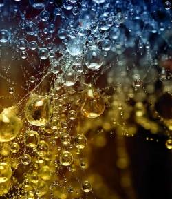 petitpoulailler:  etherian: Magical Waterdrops via Smashing Picture 