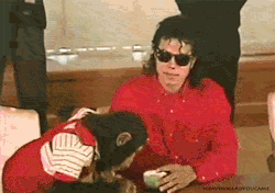 dovaking27:   Michael Jackson tells Bubbles the chimp in sign language to sit the fuck down and stop stealing sips of his tea.   That’s the most gangsta thing I’ve ever seen.   Doggie!