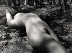 billyjane:  Nude In Wood Series,No 1, 1985  by John Swannell [see No 2 &amp; more] 