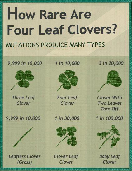 four leaf clover meaning in hindi
