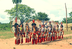 nativebeautyway:the beautiful Karajá men of Fontoura during the Hetohokã festival - the Karajá boys’ rite of passage into adulthood.
